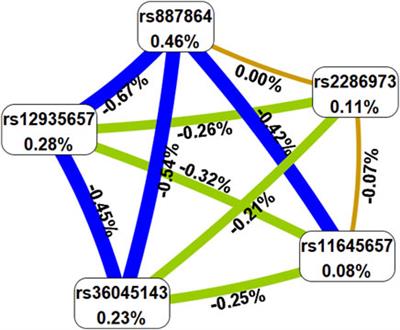 CLEC16A variants conferred a decreased risk to allergic rhinitis in the Chinese population